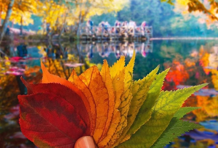 6 Days Yedigoller &Eftani Lake and Waterfalls Tour 2