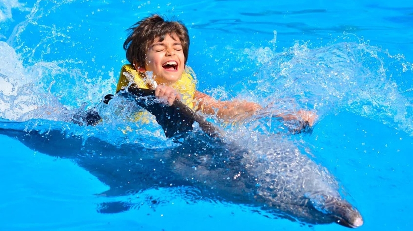 Daily Marmaris Swim With Dolphins 3