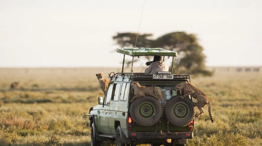 9 Days Tanzania Migration Safari 9 Days Tanzania Migration Safari