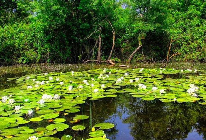 4 Days Kirklareli City & Igneada Trekking Tour 4 Days Kirklareli City & Igneada Trekking Tour