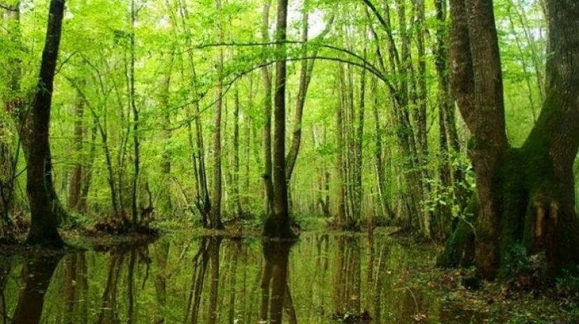 4 Days Kirklareli City & Igneada Trekking Tour 2