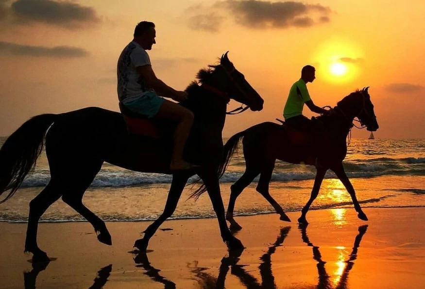 Daily Horseback Riding in Marmaris Daily Horseback Riding in Marmaris