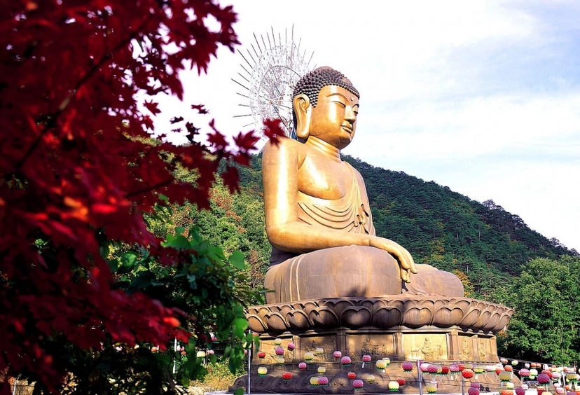 5 Days Seoul City Package Tour from South Korea 2