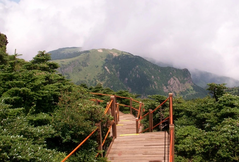 7 Days Seoul City Package Tour from South Korea 3
