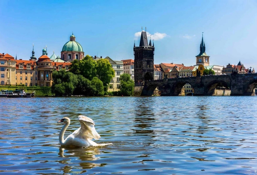 Europe 10 Days Golden Triangle Tour 4
