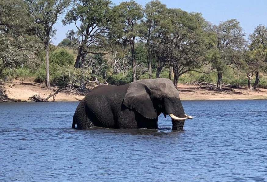 5 Days Victoria Falls and Chobe Tour 1