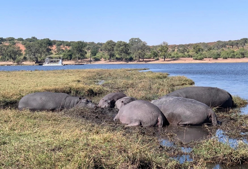 5 Days Victoria Falls and Chobe Tour 3