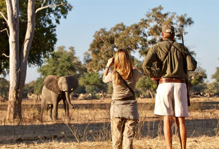 4 Days Sable Valley Lodge Safari Game Drives 4 Days Sable Valley Lodge Safari Game Drives