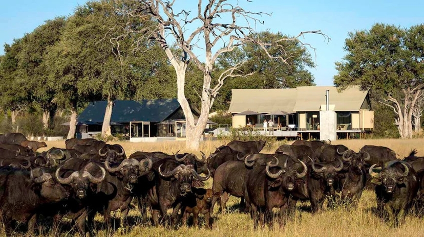 4 Days Sable Valley Lodge Safari Game Drives 3