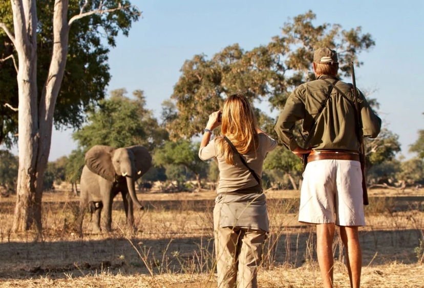 4 Days Safari in Tanzania 4