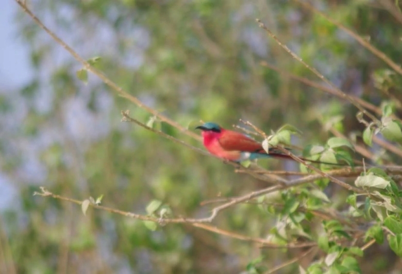 10 Days Around Zimbabwe Tour 3
