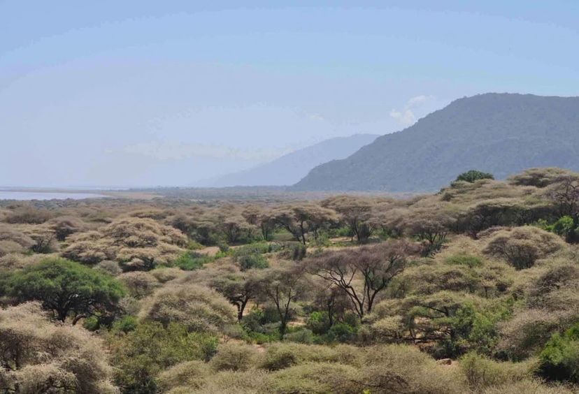 5 Days Budget Safari in Tanzania 4