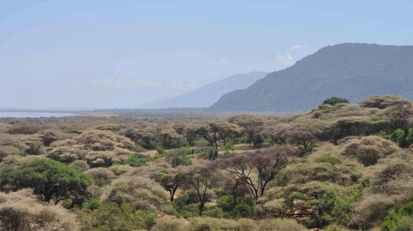 5 Days Tanzania Wildlife Safari 4
