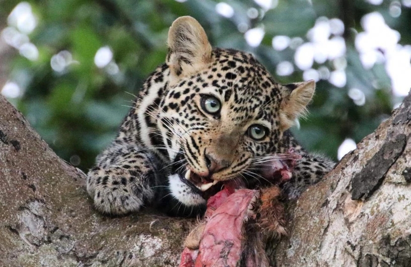 8 Days Soul of Tanzania 2