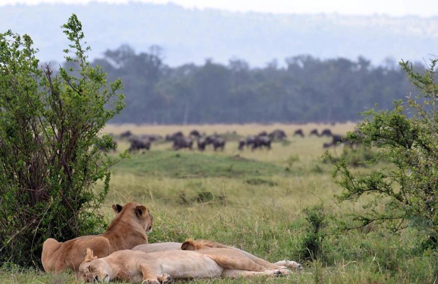 3 Days the Jewels of Tanzania Mid Range 3 Days the Jewels of Tanzania Mid Range