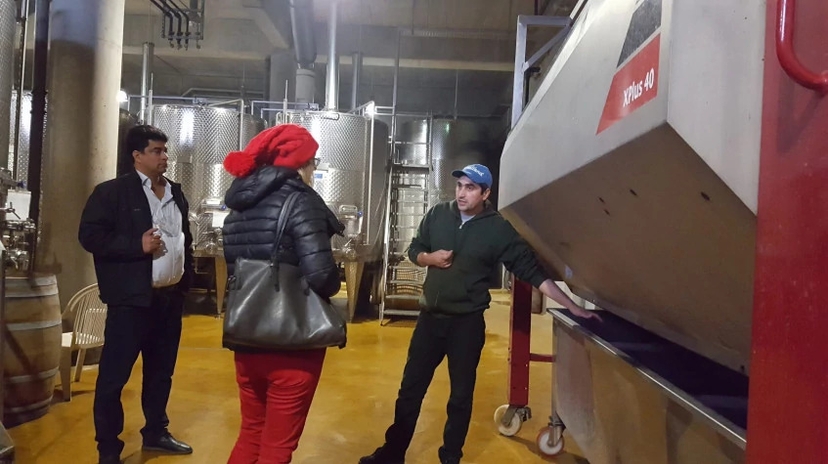 Wine Tasting Tour from Bucharest 2
