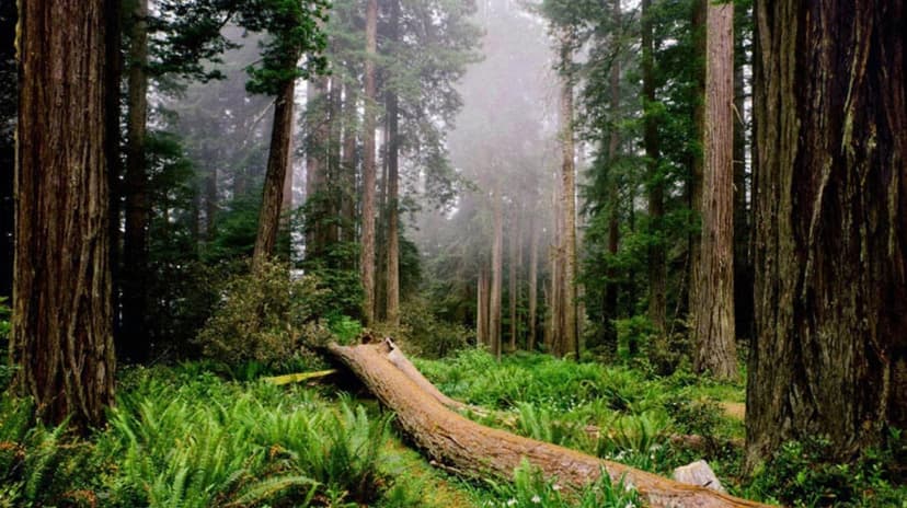 4 Days Igneada Eco Walking Tour 4