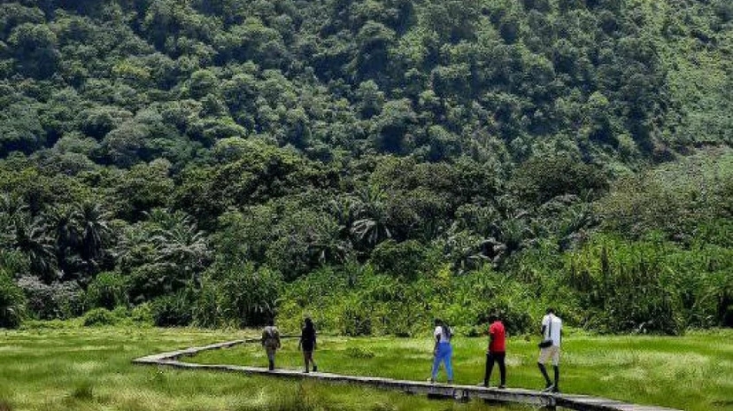 8 Days Rwenzori Mountain Trekking Expeditions 4