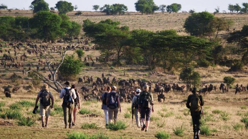 8 Days Tarangire, Serengeti, Ngorongoro Crater and Lake Eyasi 8 Days Tarangire, Serengeti, Ngorongoro Crater and Lake Eyasi