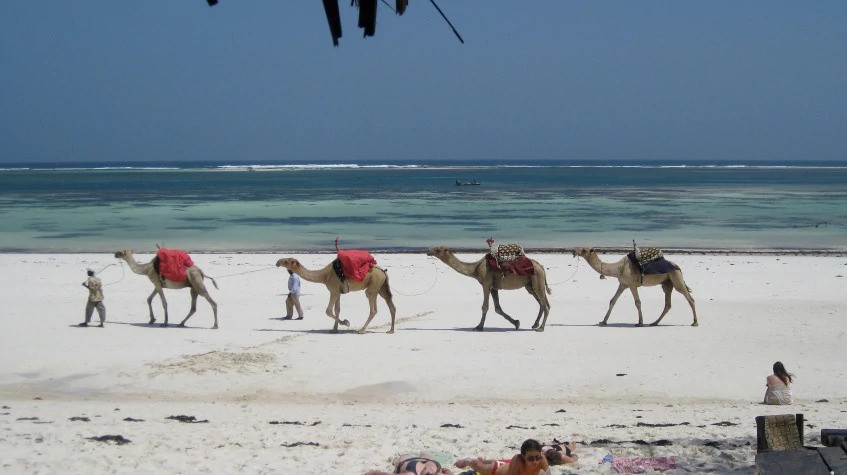 10 Days Safari & Beach Package 1