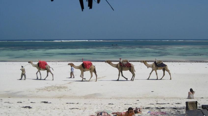 10 Days Safari & Beach Package 10 Days Safari & Beach Package