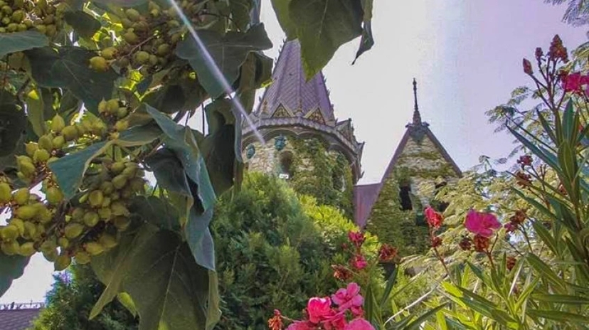 Daily Romаntic Tour to the Fairy Tale Castle 4