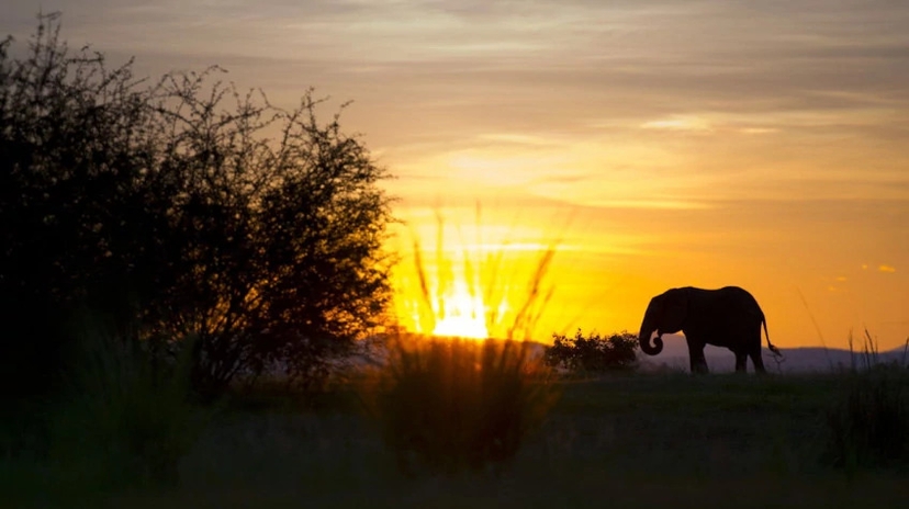 4 Days the Best of Lower Zambezi Safari 4