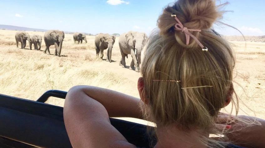 2 Days Safari Tarangire and Lake Manyara 2 Days Safari Tarangire and Lake Manyara