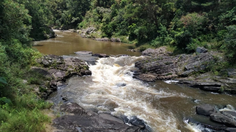 National Route 7 Rainforest Route Express 7 Days 2
