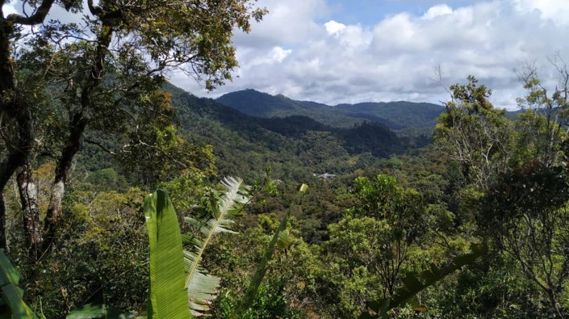 National Route 7 Rainforest Route Express 7 Days 4