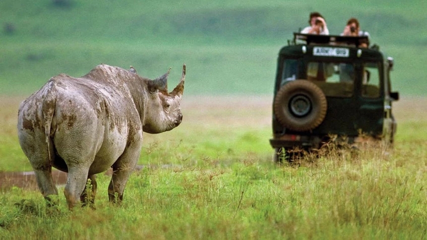 8 Days All Inclusive Soul of Tanzania Safari 1
