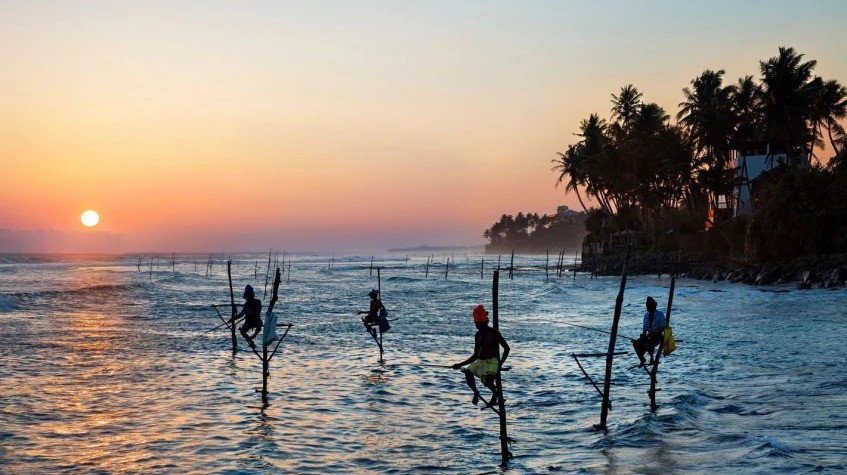 5 Days Classic Sri Lanka Round Trip 1