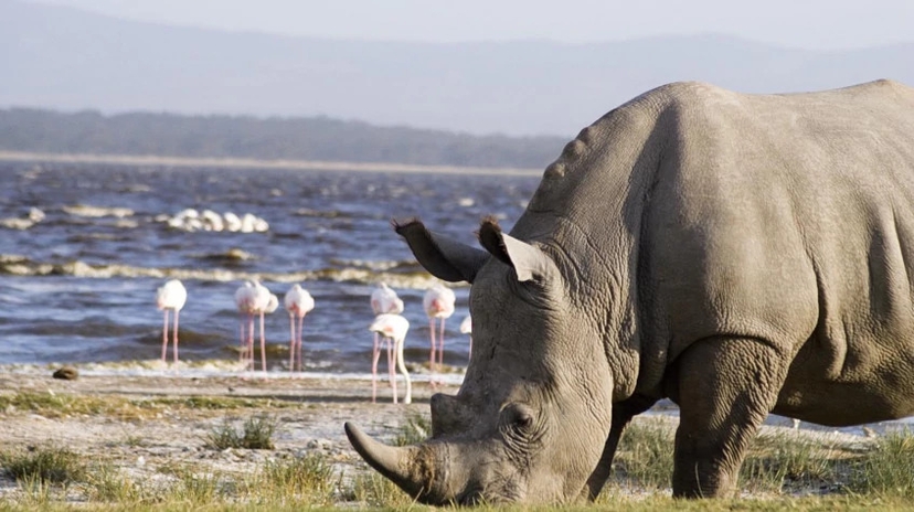 10 Days Tanzania Safari 4