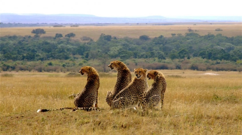 Epic Kenya Active Adventure Safari Booking 12 Days 1