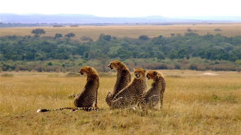Epic Kenya Active Adventure Safari Booking 12 Days Epic Kenya Active Adventure Safari Booking 12 Days