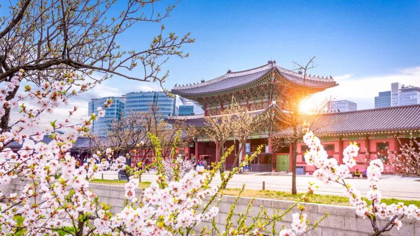 5 Days Seoul City Package Tour from South Korea 5 Days Seoul City Package Tour from South Korea