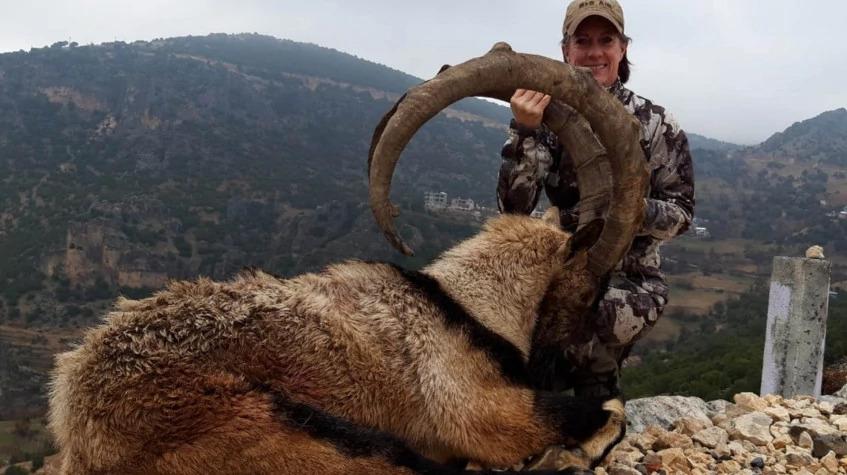 7 Days Hunting Bezoar Ibex Package Antalya 7 Days Hunting Bezoar Ibex Package Antalya