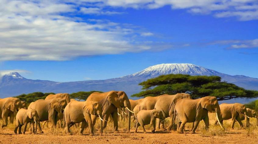 5 Days Tanzania Highlight Tour 5 Days Tanzania Highlight Tour
