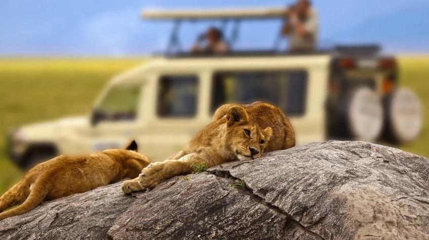 4 Days Tanzania Classic Safari 4 Days Tanzania Classic Safari