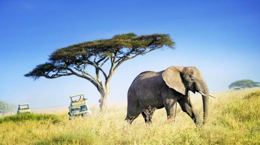 4 Days Tanzania Classic Safari 2