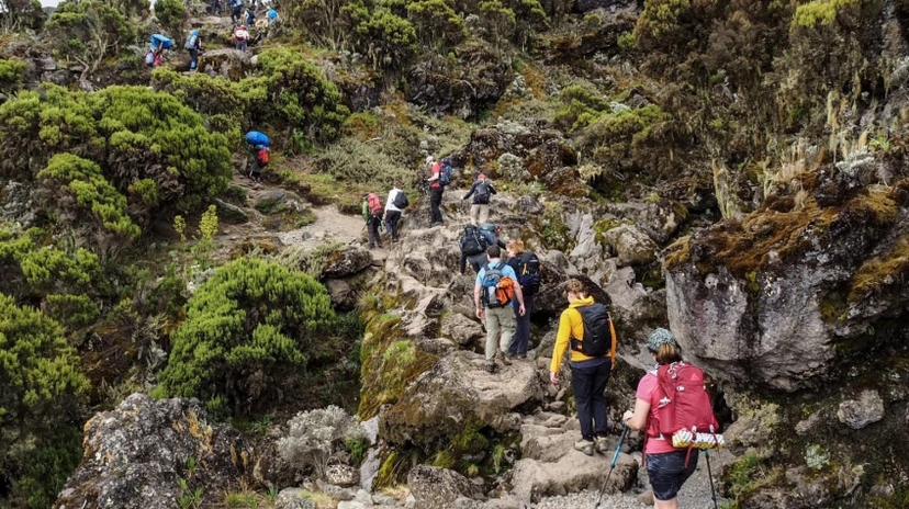 8 Days Kilimanjaro Climb - Machame Route 3