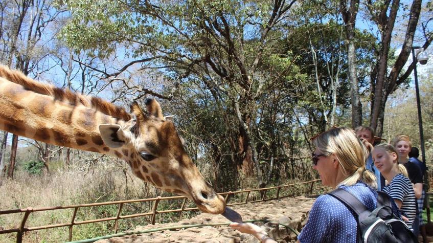 Nairobi National Park City Tour Nairobi National Park City Tour