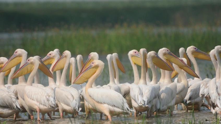 Daily the Lake Gala National Park Tour Daily the Lake Gala National Park Tour