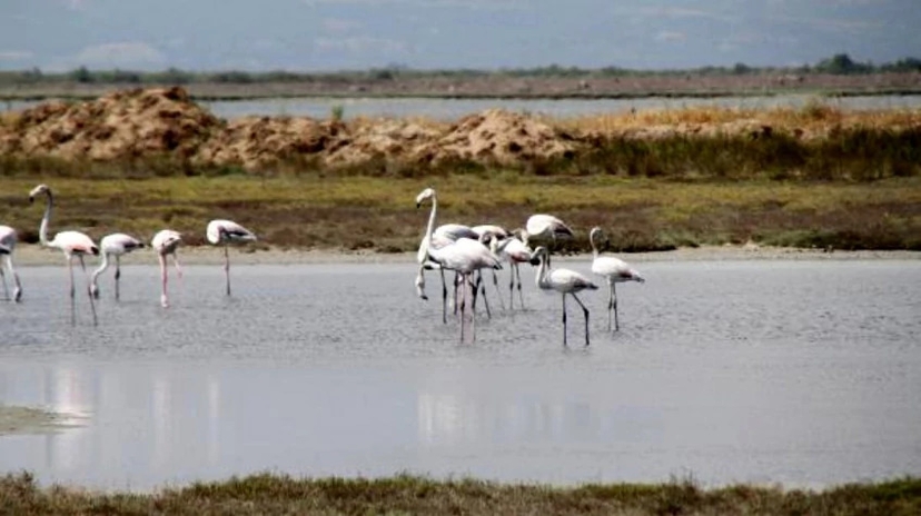 Daily the Lake Gala National Park Tour 2