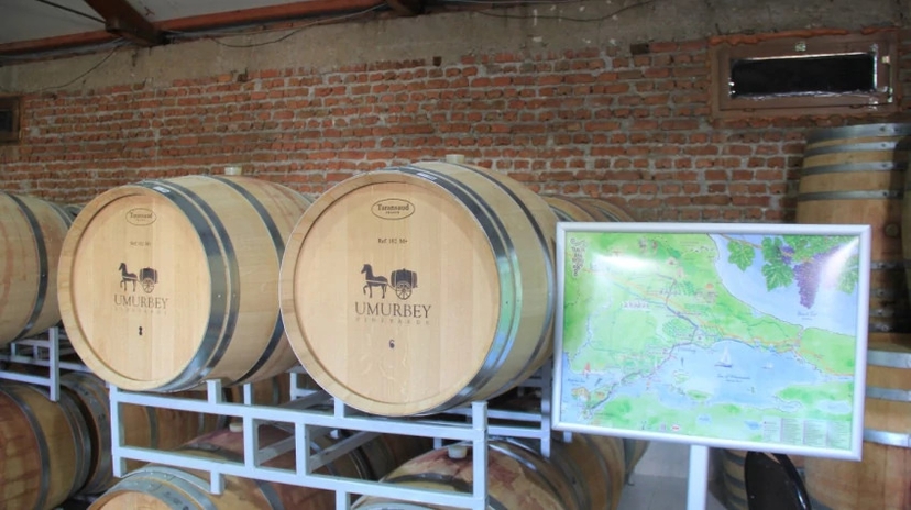 Daily Edirne Tekirdag Wine Tasting Tour 4