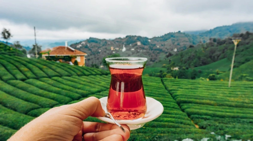 4 Days Rize City & Cooking Tour 4