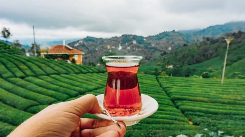 4 Days Rize City & Cooking Tour 4