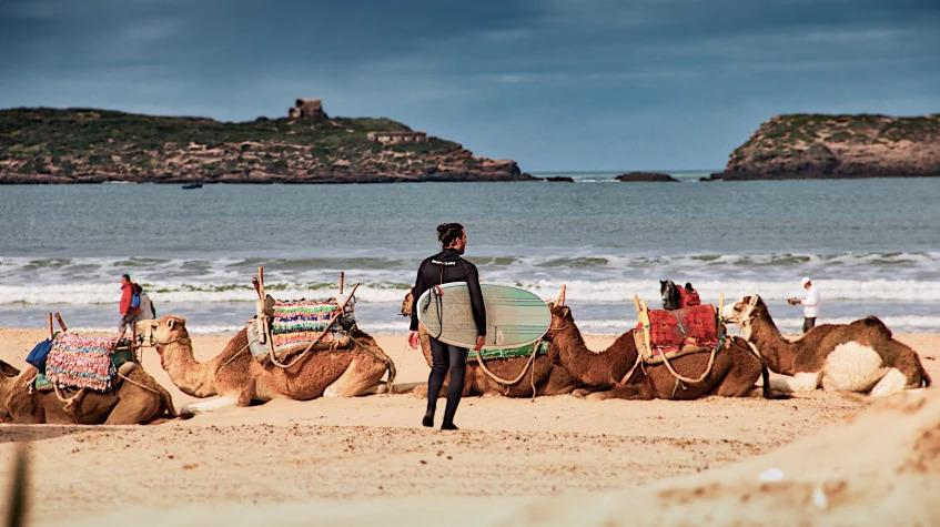 Royal Cities & Essaouira from Marrakech Royal Cities & Essaouira from Marrakech