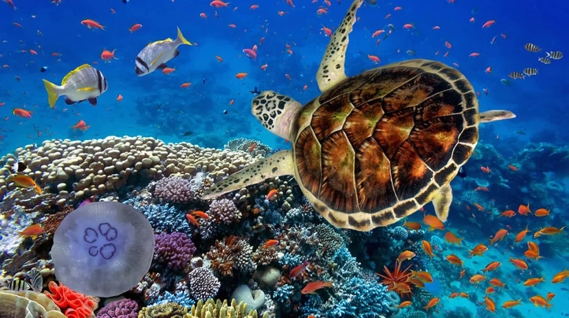 Egypt Family Holiday - Fun and Discovery 4