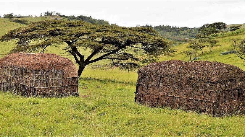 Daily Building Manyattas With the Maasai 3